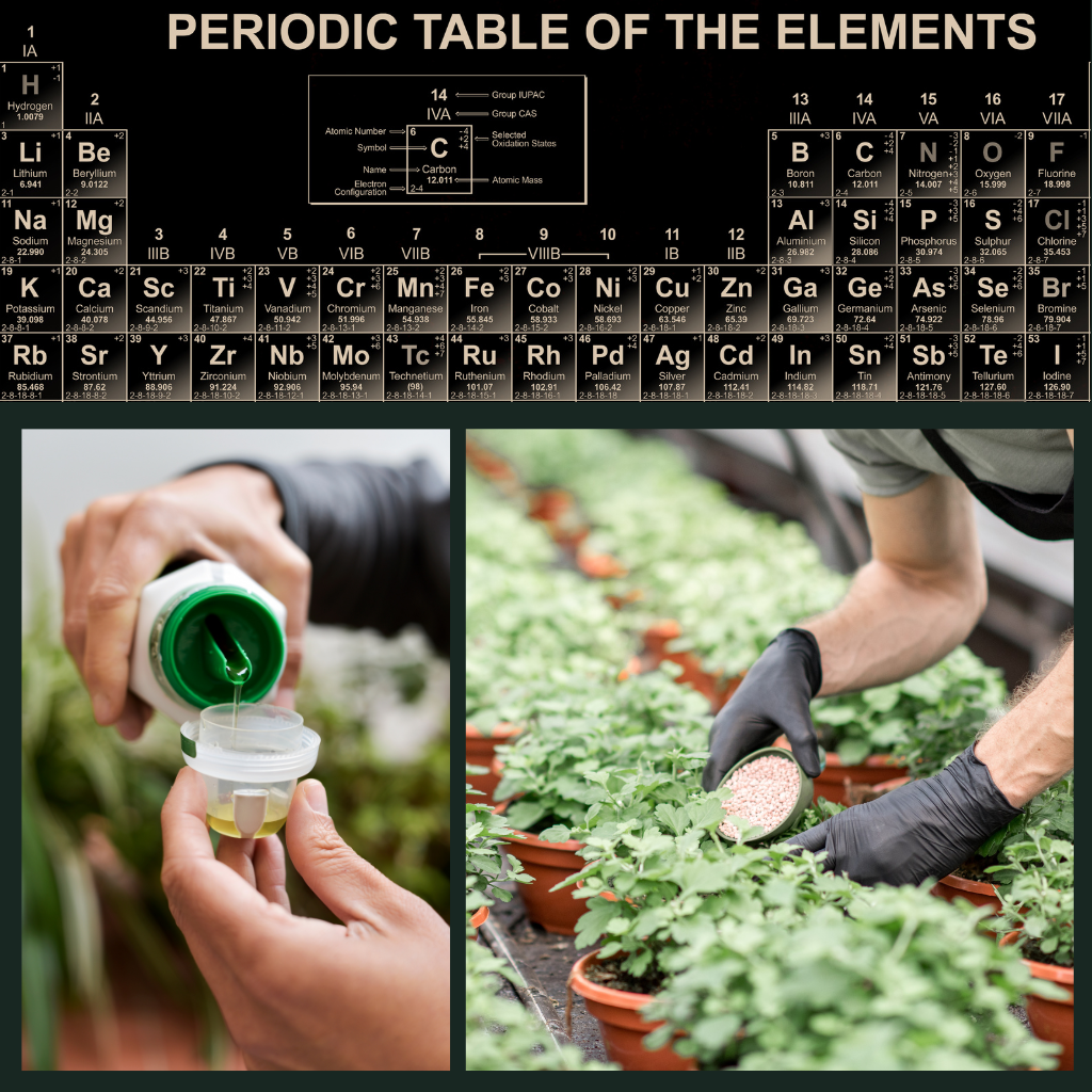 Plant Nutrients For Soil & Hydroponics