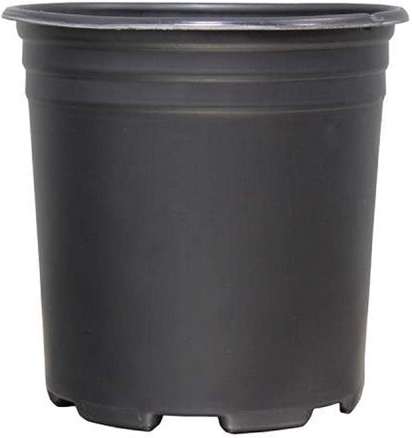 Thermoformed Nursery Pot 1 Gallon - Black