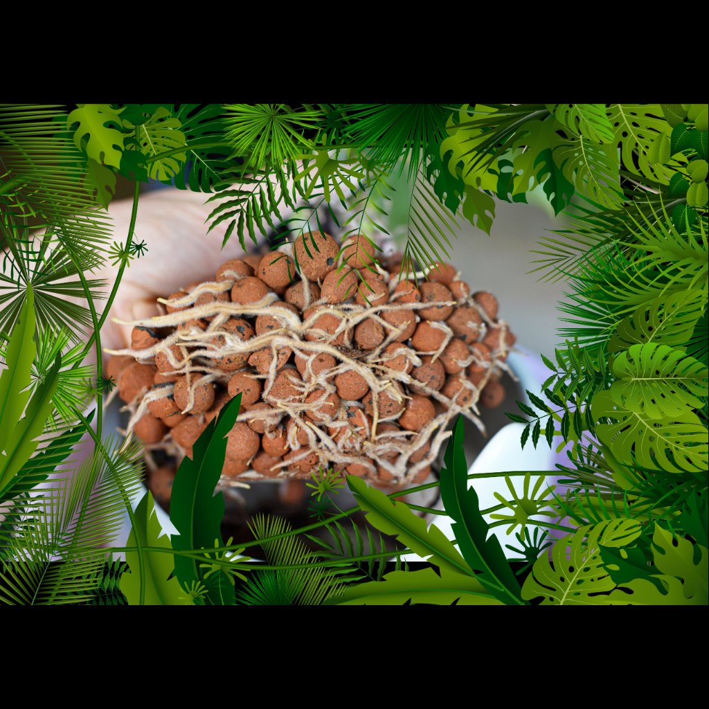 SOILLESS / HYDROPONIC MEDIA