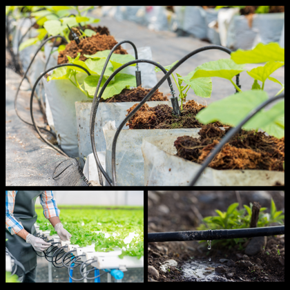 IRRIGATION
