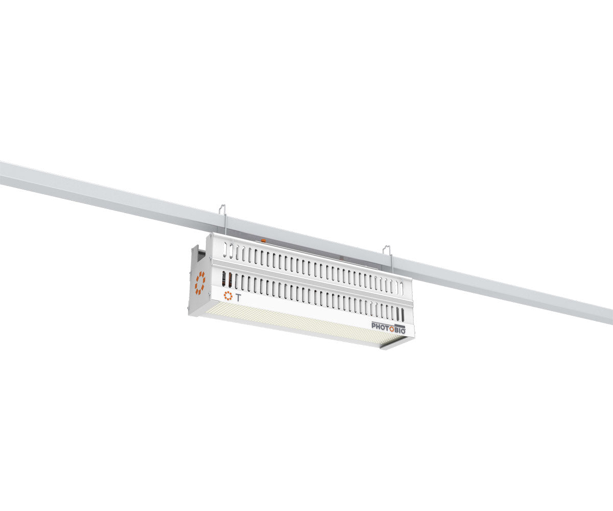 PHOTOBIO T LED - 330W, (10' 120V Cord)