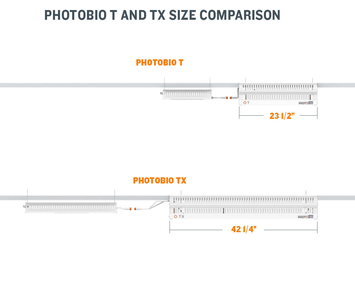 PHOTOBIO T LED - 330W, (10' 120V Cord)