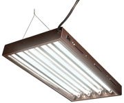 Agrobrite Designer T5 Fixture with Lamps