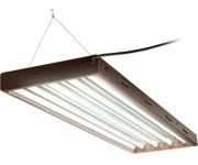 Agrobrite Designer T5 Fixture with Lamps