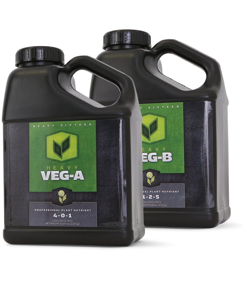 Heavy 16 Veg A & B Plant Nutrient Set