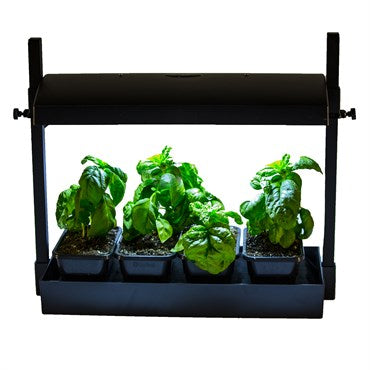 Sunblaster Micro LED Grow Light Garden – GrowGoods