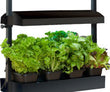 Sunblaster Micro T5HO Grow Light Garden (Black)