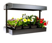 Sunblaster LED GrowLight Garden - Black