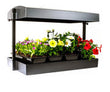 Sunblaster LED GrowLight Garden - Black